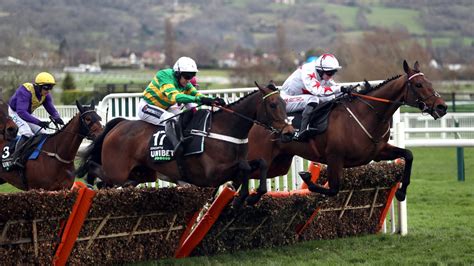 cheltenham day 1 results|Cheltenham Results .